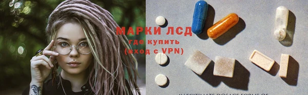 гидропоника Бородино