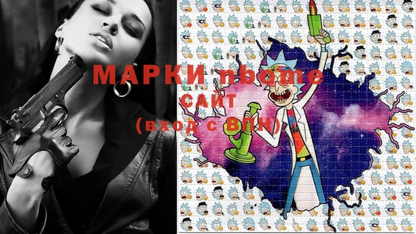 гидропоника Бородино