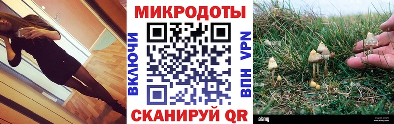 МЕГА вход  Коломна  Галлюциногенные грибы Psilocybe 